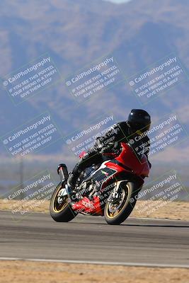 media/Nov-11-2023-SoCal Trackdays (Sat) [[efd63766ff]]/Turn 8 Set 2 (1040am)/